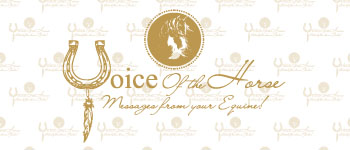 Voice Of The Horse - Messages from your equine! logo