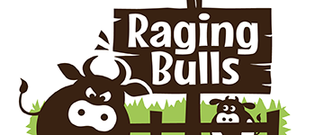 Raging Bulls logo