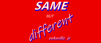 Same But Different logo