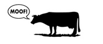 BOOM logo