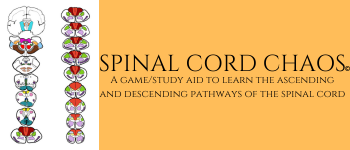 Spinal Cord Chaos logo