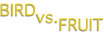Bird vs. Fruit logo
