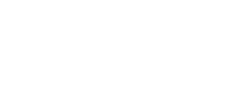 Salty Chef logo