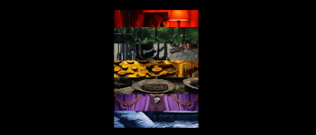 Head of the Snake logo