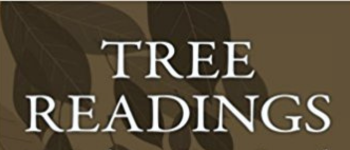 Ogham Oracle Deck logo