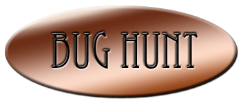 Bug Hunt logo