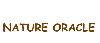 Nature Oracle logo