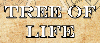 Occult Flashcards - Tree of Life logo