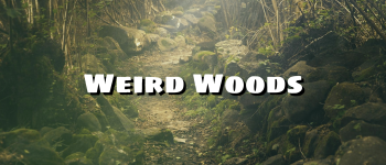 Weird Woods: A Conan 2d20 Narrative Terrain Deck logo