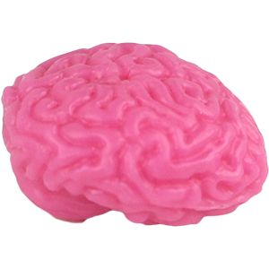 Brain Organ, Pink Thumbnail