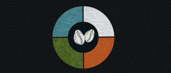 Oracle of the Elements Divination Deck logo