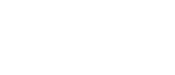 formula1991 logo