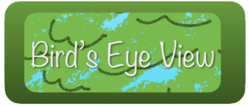 Bird's Eye View logo