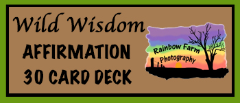 Wild Wisdom Affirmation Deck logo