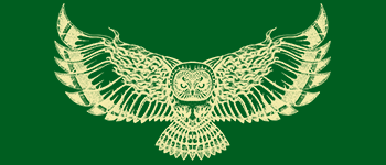 Runes of the Infinite Mother logo