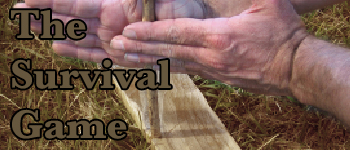 The Survival Game logo