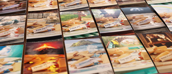 Fortune Cookie Oracle logo