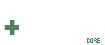 After the Disaster: Triage Core logo