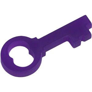 Padlock Key, Purple Thumbnail