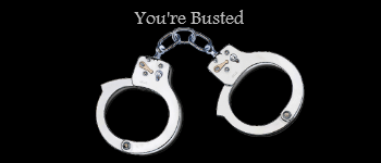 You're Busted logo