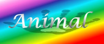 Animal Medicine Deck logo