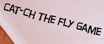 Catch fly game logo