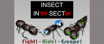Insect Intersection logo