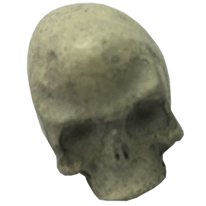 Premium Skull Thumbnail