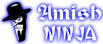 Amish Ninja logo