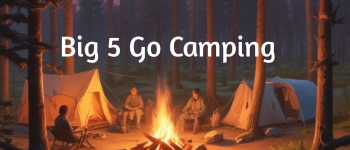 Big 5 Go Camping logo