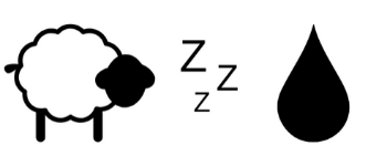 Sheep Sleep Seep logo