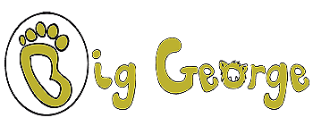 Big George Memory Card Game logo