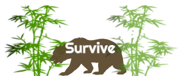 End Times - Survive logo