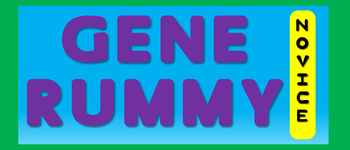 Rabbit Gene Rummy (Novice Game) logo