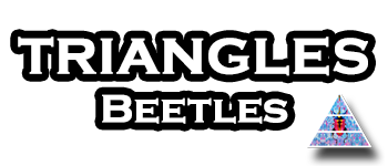 Triangles: Beetles logo