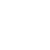 orbit icon