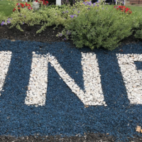 UNE landscaping featuring crushed shells in front of Decary Hall
