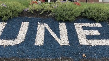 Permalink to: Tutorials