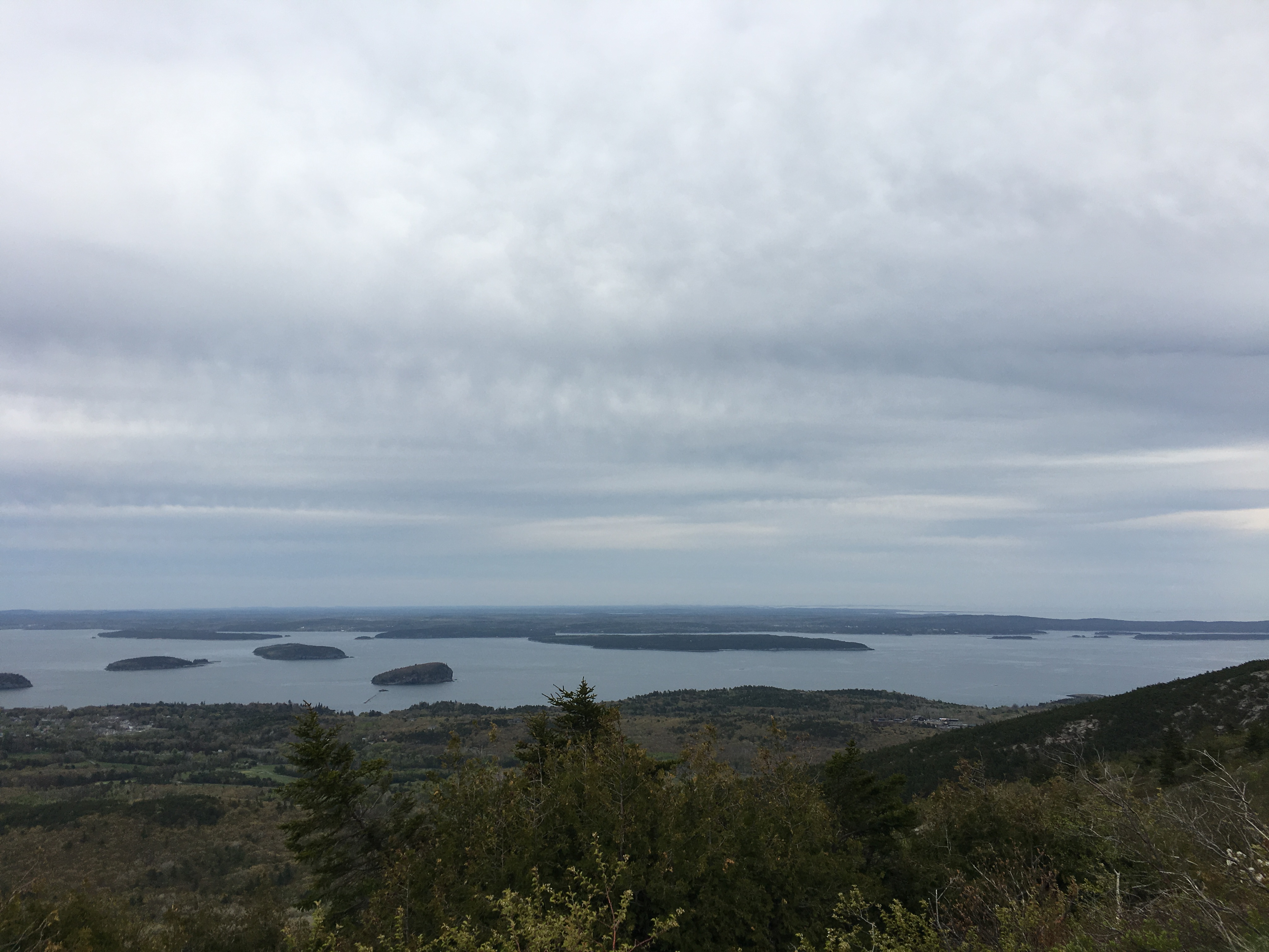 Wellness Goals Reflection