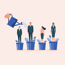 Career Development Reflection