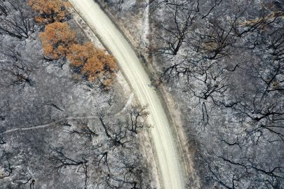 Blog 2 : Wildfires