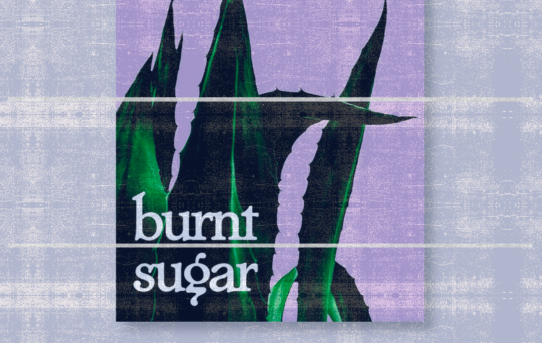 Burnt Sugar: Opposites Often Resemble Each Other 