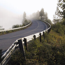 How Roads Impact Wildlife – The Environmental Impact