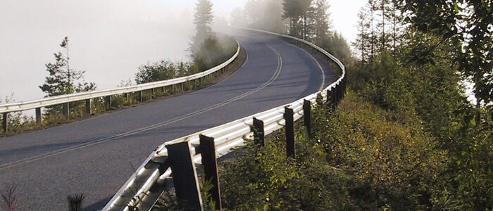 How Roads Impact Wildlife – The Environmental Impact