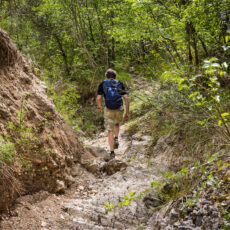 How Roads Impact Wildlife – Increased Human Exploitation & Recreation