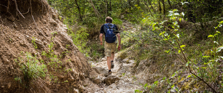 How Roads Impact Wildlife – Increased Human Exploitation & Recreation