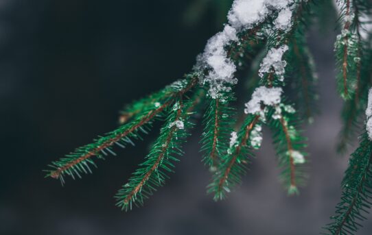 Telehealth and Telemedicine Reflection