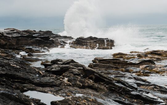 Climate and Justice Presentation Reflection