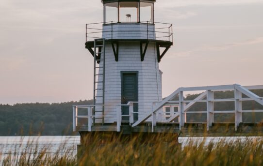 Preparation for Licensure and Transition to Professional Practice