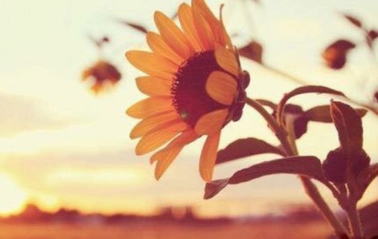 Pre-write Activities